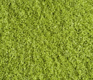 Килим SHAGGY LOCA L.GREEN прямокутник